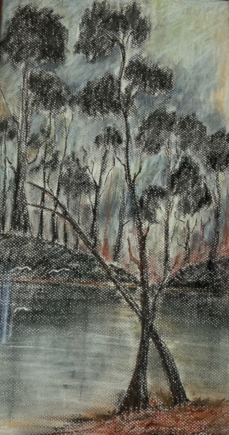 Gumtree on River, 40 x 20 cm, Pastel on paper, 1988