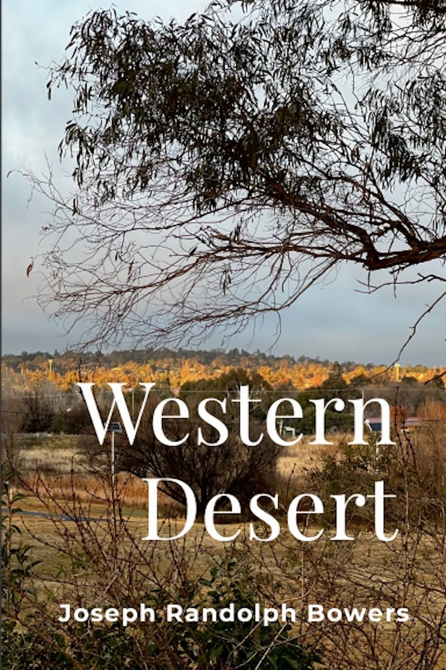 Western Desert